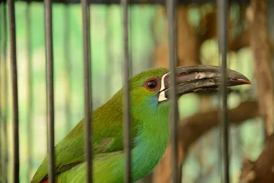 DSC_2308 (Large).JPG